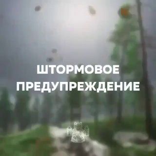 Ярославскую область ожидают сильные дожди и грозы