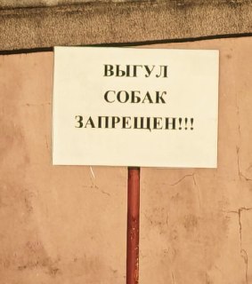 В Ярославле жестоко избили девушку из-за конфликта с собакой