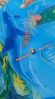 Необычное существо пугает ярославцев во время отдыха на природе