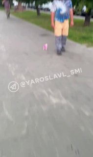 Необычная Прогулка: Мужчина с Игрушечной Собакой в Ярославле