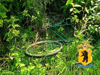 Безработный украл велосипед в Ярославской области для поездки